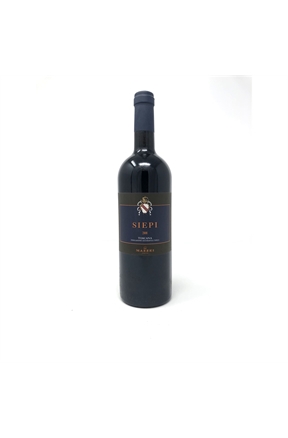 CastelloFonterutoliMazzeiSiepi2008