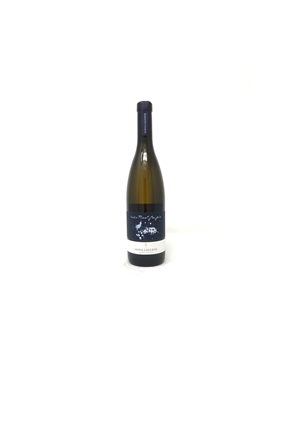 AloisLegederPinotGrigio2020