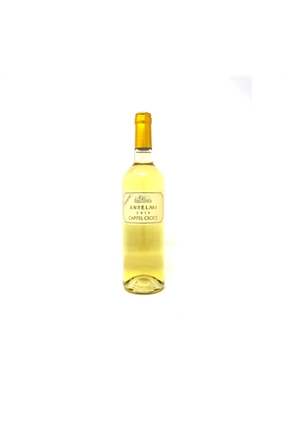AnselmiCapitelCroce2019