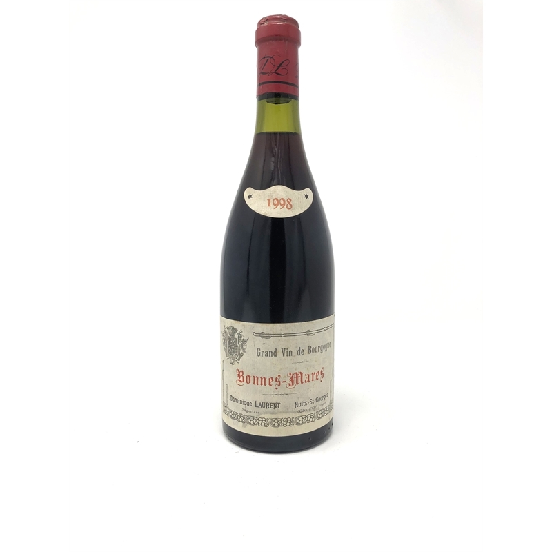 DominiqueLaurentBonesMares1998