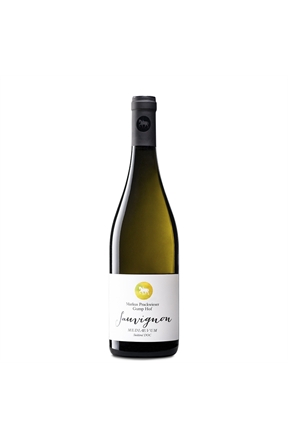 SauvignonMediaevumGumpHof