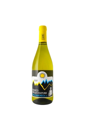 RieslingRenanoBiancoDelleColtureAgricolaVallecamonica