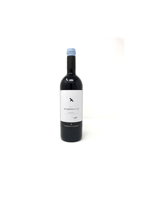 DomenicoClericoBaroloAeroplanservaj2013